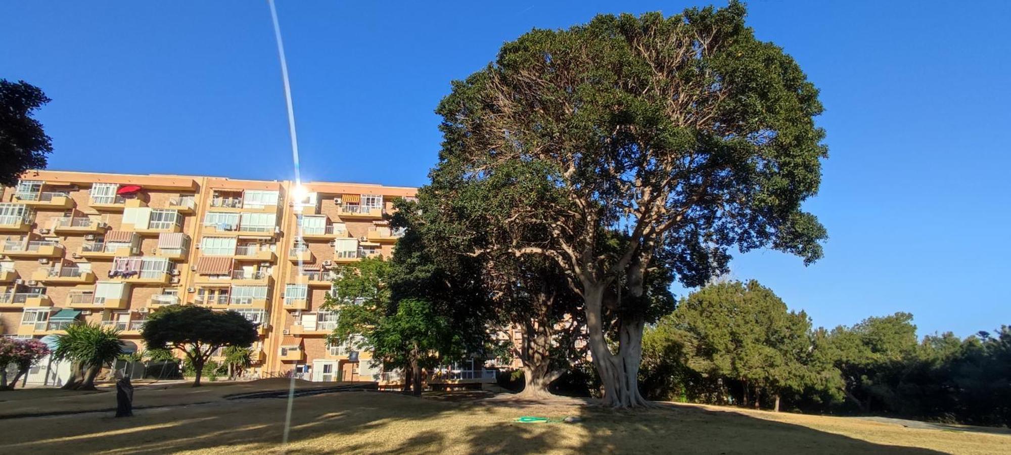 Apartamento Aguila, Arroyo De La Miel, Benalmadena Exterior photo